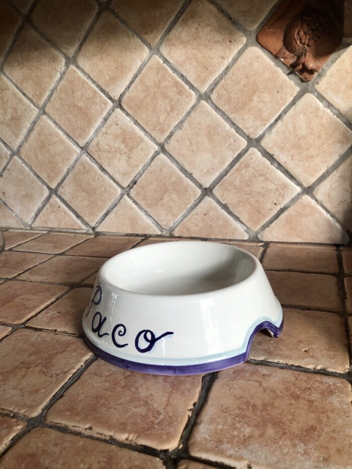 Cat dog bowl - Image 11